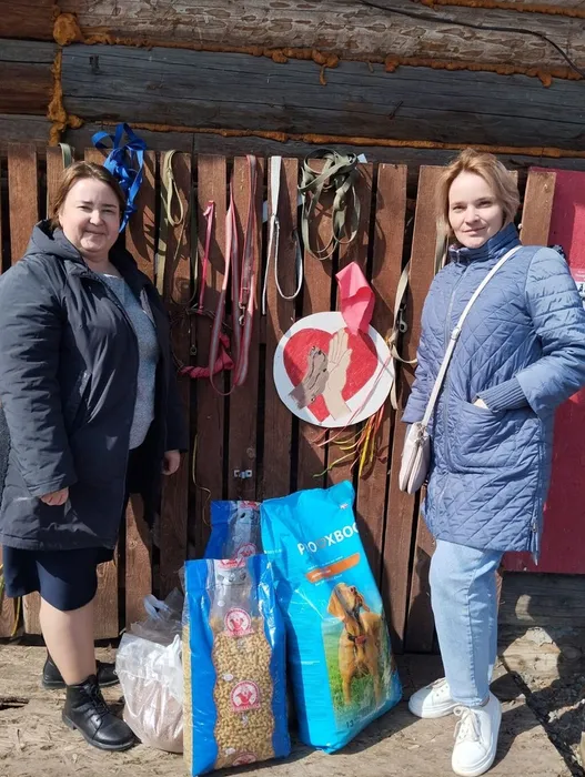 Приют Добрые руки